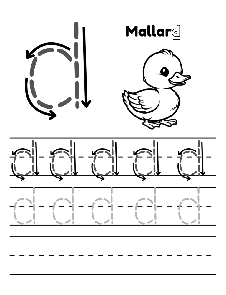 Printable Letter M tracing mallard activity for kids ages 3–8
