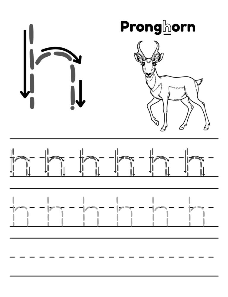 Printable Letter P tracing pronghorn activity for kids ages 3–8