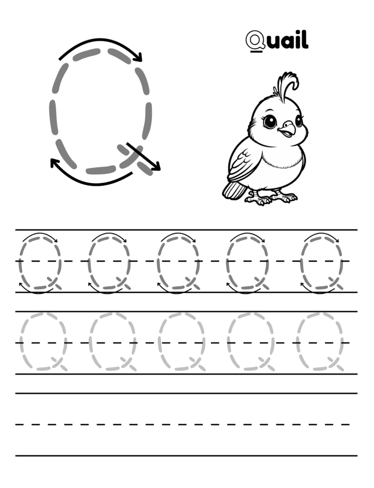 Printable Letter Q tracing quail activity for kids ages 3–8