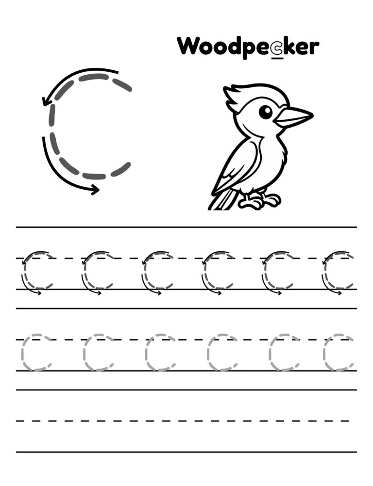 Printable Letter W tracing woodpecker activity for kids ages 3–8