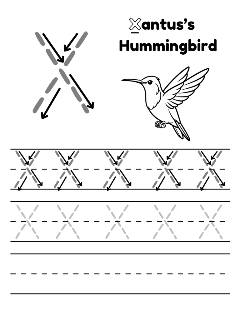 Printable Letter X tracing xantus hummingbird for kids ages 3–8