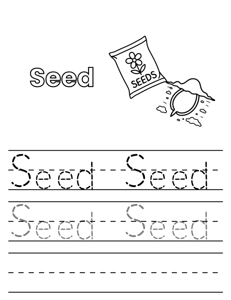 Printable Trace the word: seed activity for kids ages 3–8