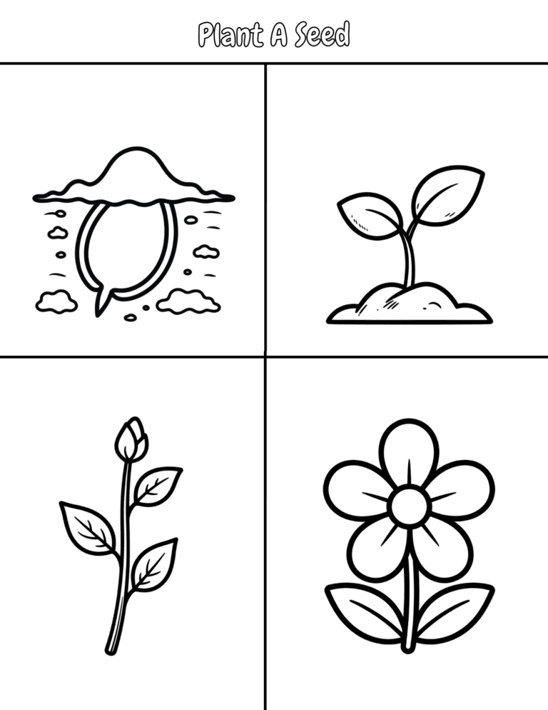 Printable Plant a seed life cycle page for kids ages 3–8