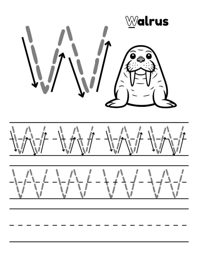 Printable Letter W tracing walrus activity for kids ages 3–8