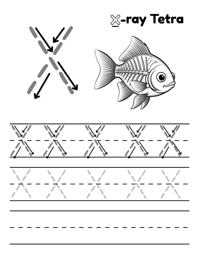 Printable Letter X tracing x-ray tetra activity for kids ages 3–8