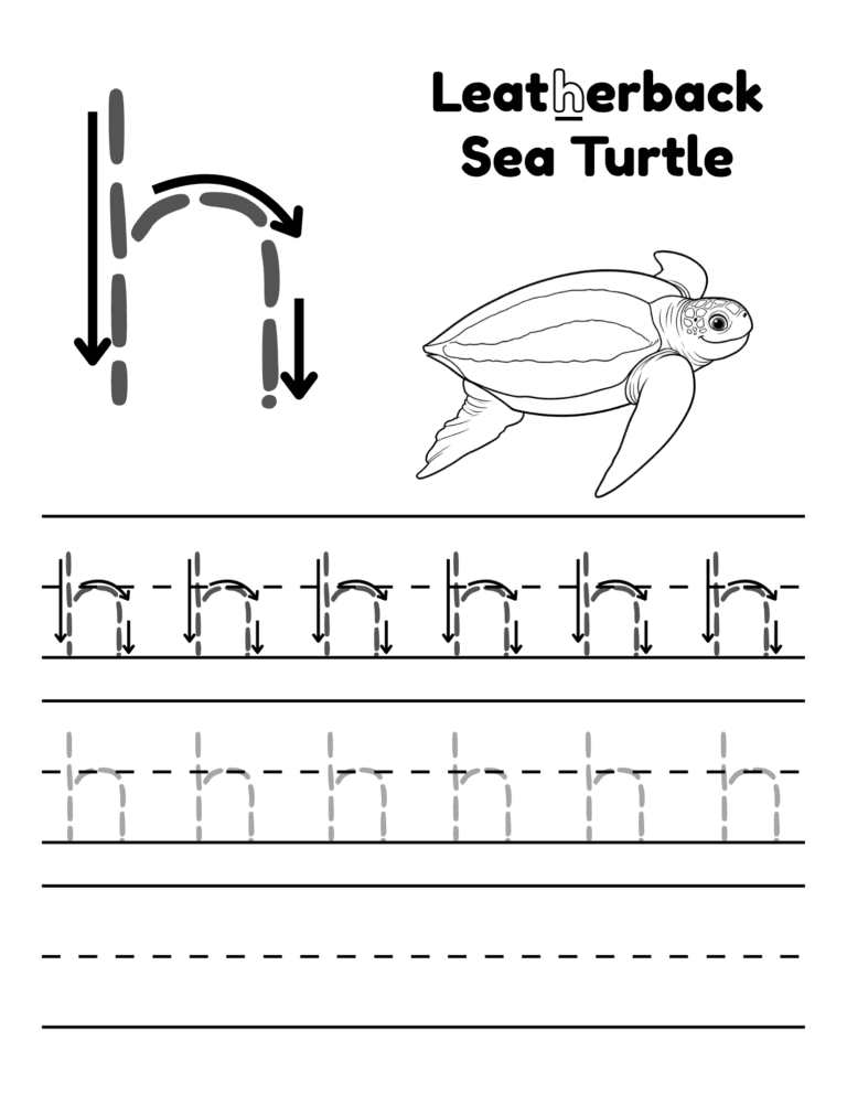 Printable Letter h tracing leatherback sea turtle activity for kids ages 3–8