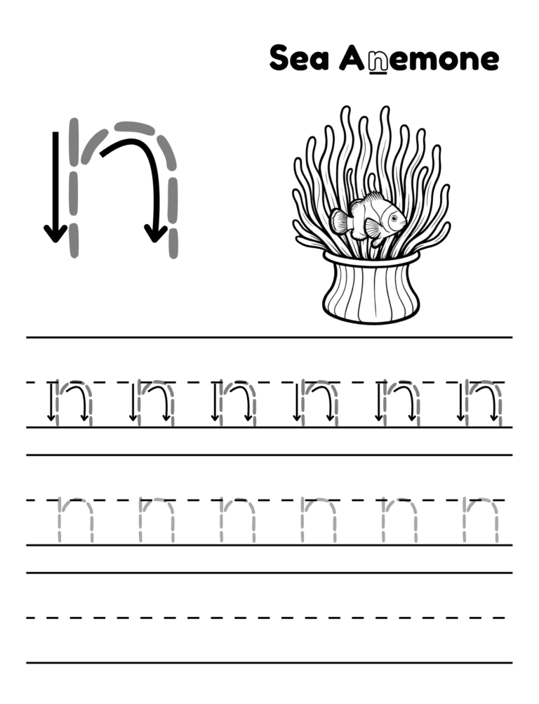 Printable Letter n tracing sea anemone activity for kids ages 3–8
