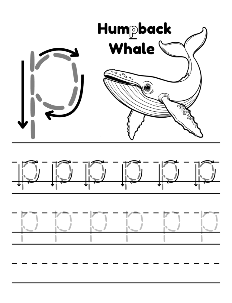 Printable Letter p tracing humpback whale activity for kids ages 3–8