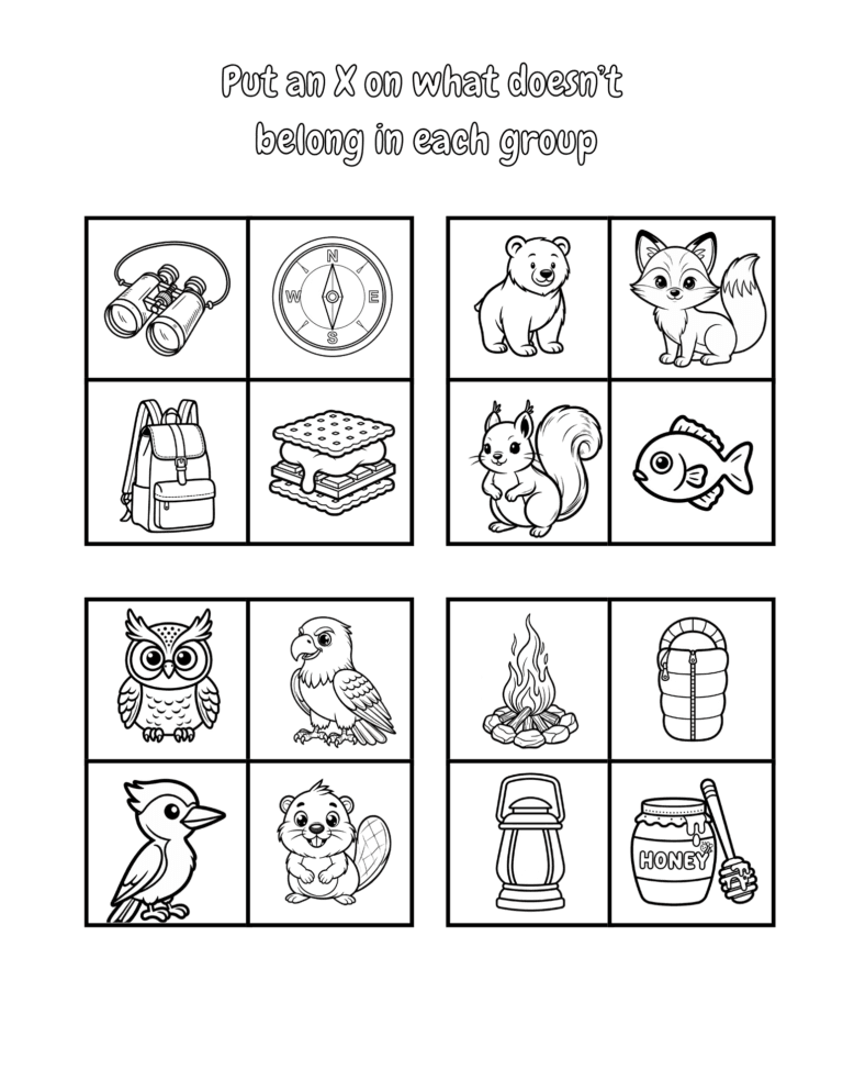 Printable Camp which one doesn't belong activity for kids ages 3–8